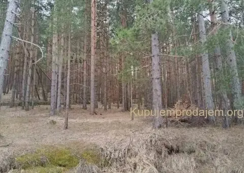 Plac na prodaju Zlatibor-Vodice - 7/10