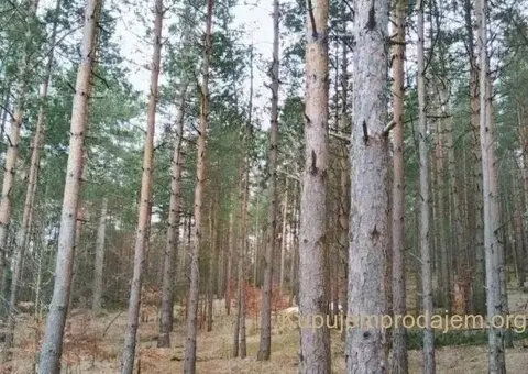 Plac na prodaju Zlatibor-Vodice - 8/10