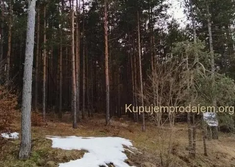 Plac na prodaju Zlatibor-Vodice - 10/10