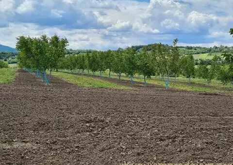 Fantasticno imanje 3.5ha,nadomak Beograda - 5/15