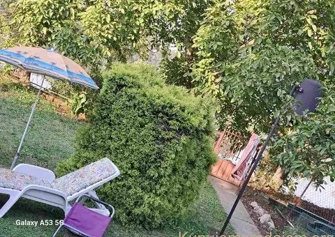 Izdaje se apartman-vikendica Ivanka,Srebrno jezero - 7/7