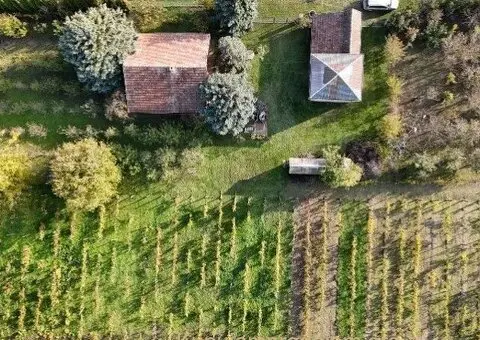 Bio Salaš blizu Subotice - 2/5