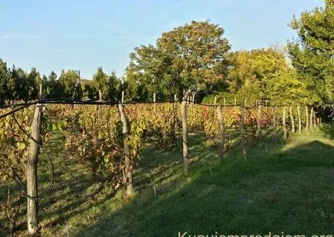 Bio Salaš blizu Subotice - 3/5