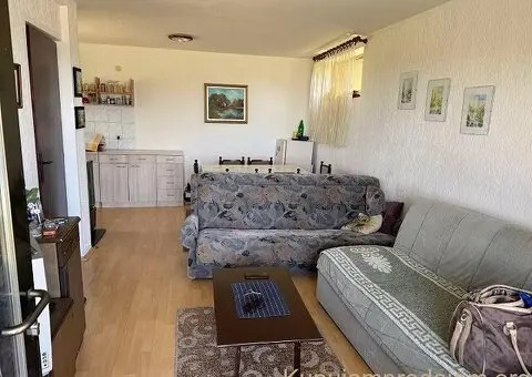 Vikendica sa poslovnim prostorom na Vlasinskom jezeru-idealna za odmor ili posao - 9/15