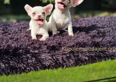 U ponudi Mikro CIVAVE - 3/5