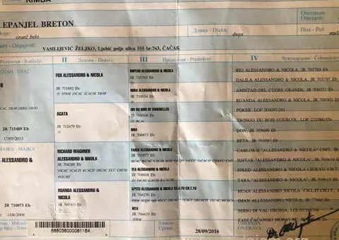 EPANJEL BRETON stenci na prodaju - 8/8