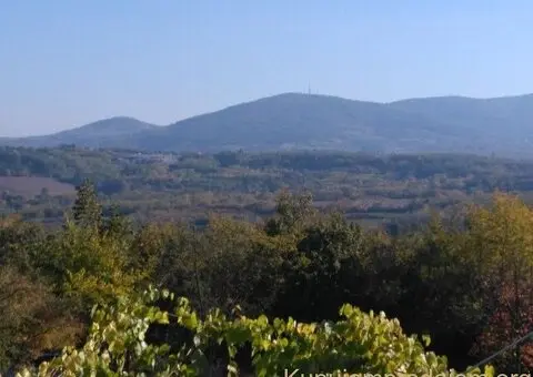 Na prodaju plac (suma) u Sopotu - 1/3