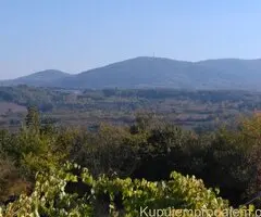 Na prodaju plac (suma) u Sopotu