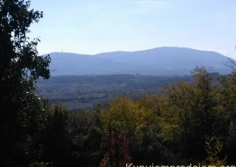 Na prodaju plac (suma) u Sopotu - 3/3