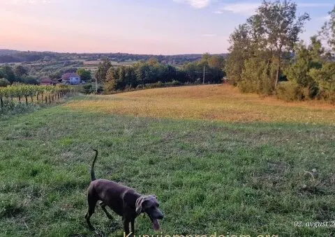 Plac na prodaju Ducina-Sopot - 5/6