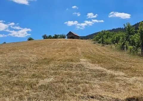 Prodajem plac na Zlatiboru 74ari - 3/3