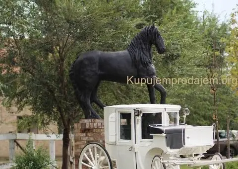 Frizijski konji na prodaju - 14/15