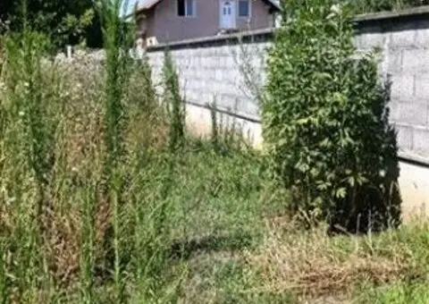 Prodajem kucu u Busijama-Legalizovano - 6/15