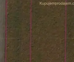 Prodajem zemljiste u Staroj Pazovi
