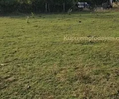Prodajem gradjevinski plac-Kosmaj