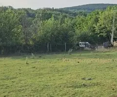 Prodajem gradjevinski plac-Kosmaj