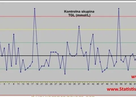 Statistička obrada u SPSS-u, AMOS-u, NVivo-u, Excelu i dr. - Pomoć i mentorstvo pri izradi akademski - 5/6