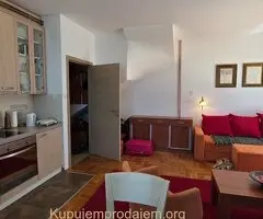 Prodaja kuce na Zlatiboru