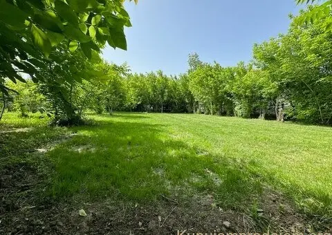 Prodajem kucu u Novoj Pazovi - 2/6