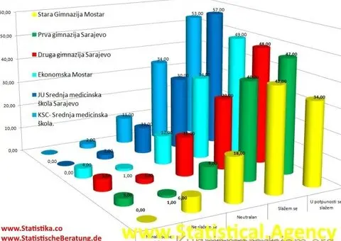 SPSS, AMOS, nVivo, Excel, statistika  - Profesionalna Statistička Agencija - Vaš Pouzdan Partner za - 3/10
