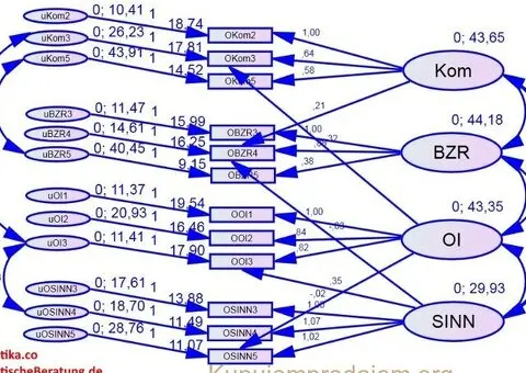 SPSS, AMOS, nVivo, Excel, statistika  - Profesionalna Statistička Agencija - Vaš Pouzdan Partner za - 4/10