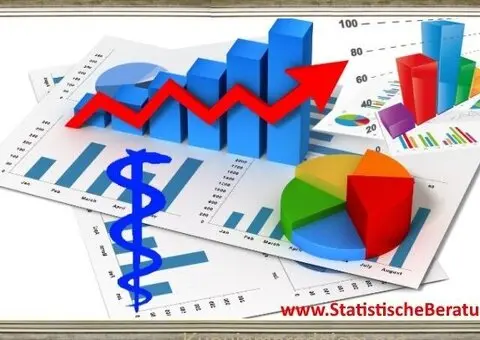 SPSS, AMOS, nVivo, Excel, statistika  - Profesionalna Statistička Agencija - Vaš Pouzdan Partner za - 9/10