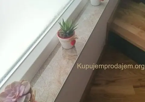 Prodajem luksuznu kucu u Novom Sadu - 12/15