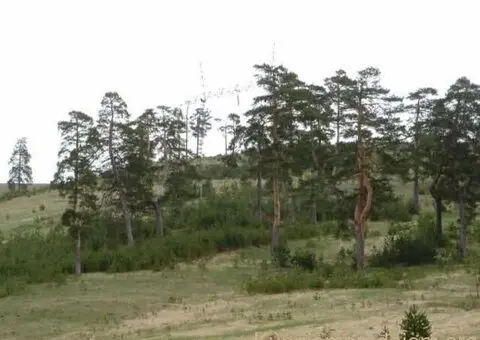 Zlatiborski Dukat-zemljiste,investicija-Čigota - 1/15