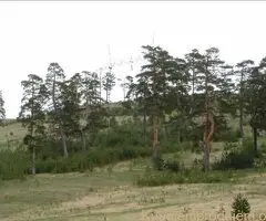Zlatiborski Dukat-zemljiste,investicija-Čigota