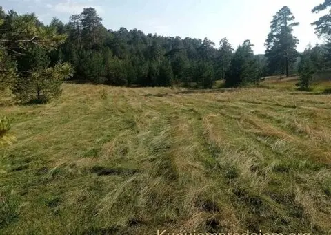 Zlatiborski Dukat-zemljiste,investicija-Čigota - 3/15