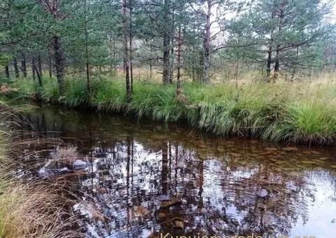 Zlatiborski Dukat-zemljiste,investicija-Čigota - 7/15