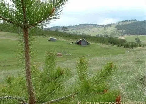 Zlatiborski Dukat-zemljiste,investicija-Čigota - 9/15