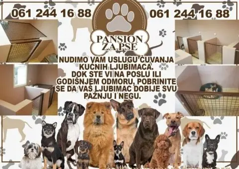 Pansion za pse - Subotica