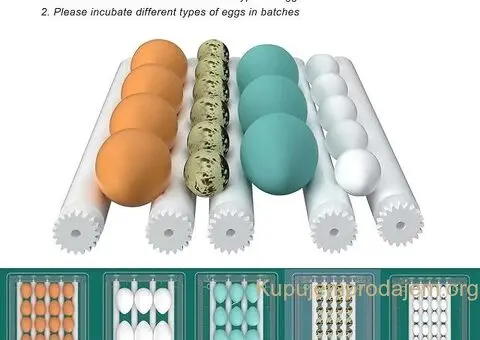 Automacki inkubator 16 jaja dokazan u ikubaciji 100%.EXTRA - 3/4