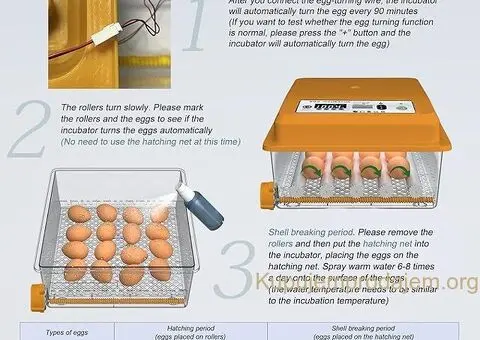 Automacki inkubator 16 jaja dokazan u ikubaciji 100%.EXTRA - 4/4