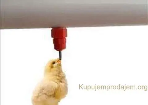 Nipl pojilica za piliće. - 1/3