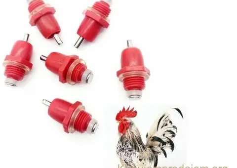 Nipl pojilica za piliće. - 2/3