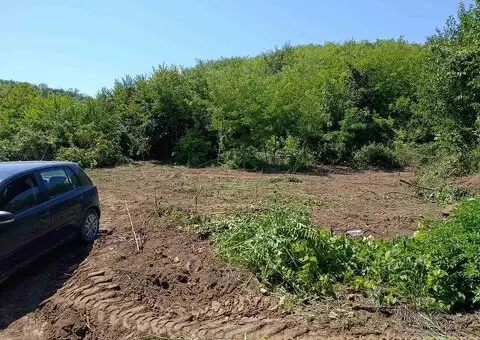 Prodajem dva placa od 4ara-Krcedin - 2/3