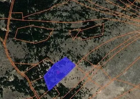 Zlatiborski Dukat-zemljiste,investicija-Čigota - 4/15