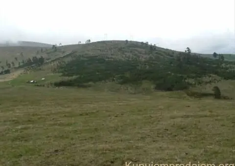 Zlatiborski Dukat-zemljiste,investicija-Čigota - 13/15