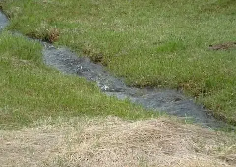 Zlatiborski Dukat-zemljiste,investicija-Čigota - 14/15