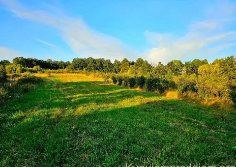 Prodajem imanje 8.6ha sa kucom-Kosjeric - 10/10