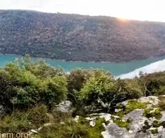 Sveti Lovreč, šuma od 3Ha sa pogledom na more u Istri