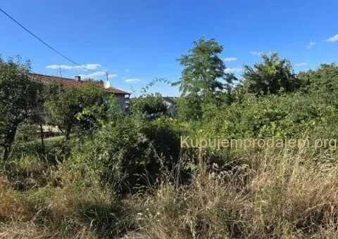 Plac od 61ar u Belom Bregu-Indjija - 1/3