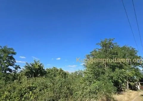 Plac od 61ar u Belom Bregu-Indjija - 2/3