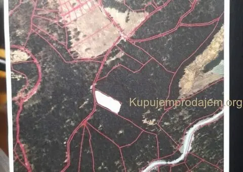 Prodajem plac na Tari