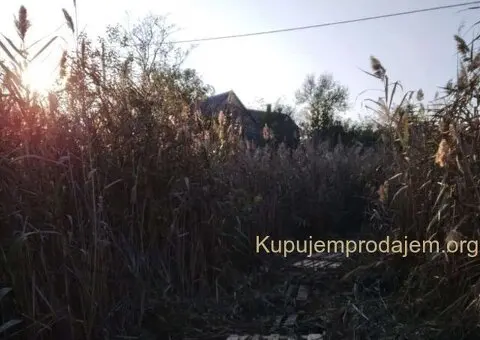 KUCA NA MRTVOJ TISI U BEČEJU - 9/10