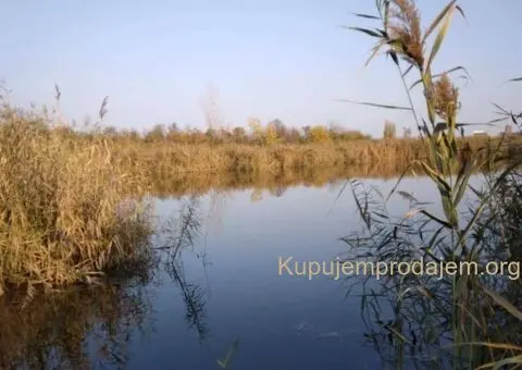 KUCA NA MRTVOJ TISI U BEČEJU - 10/10