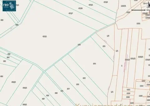 Prodajem zasad borovnice Sabac-Varna - 11/13