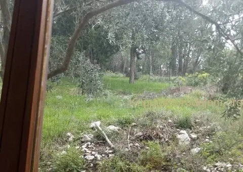 Odlicna kuca na Policama, Trebinje - 9/9